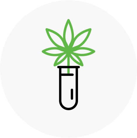 medical cannabis logo